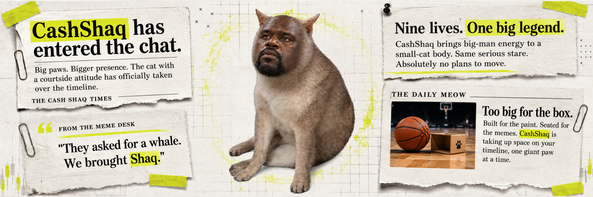 CashShaq, a large brown cat with Shaq's serious face, featured in a newspaper-style collage.